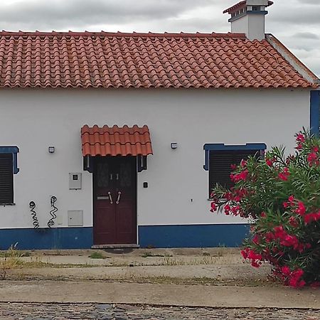 Torrão Nova Quinta Moderna Torramo Em Oliveiras, Campo De Laranjas, Na Nacional 2, Alentejo 13750 M2 빌라 외부 사진
