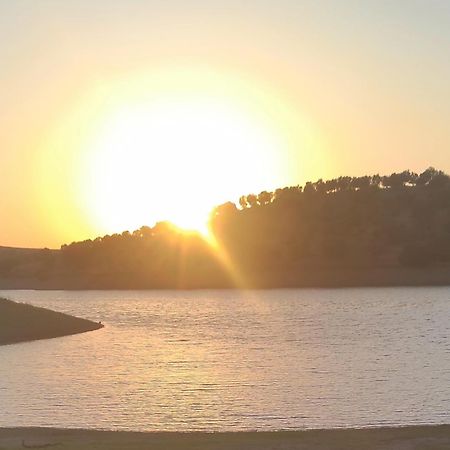 Torrão Nova Quinta Moderna Torramo Em Oliveiras, Campo De Laranjas, Na Nacional 2, Alentejo 13750 M2 빌라 외부 사진