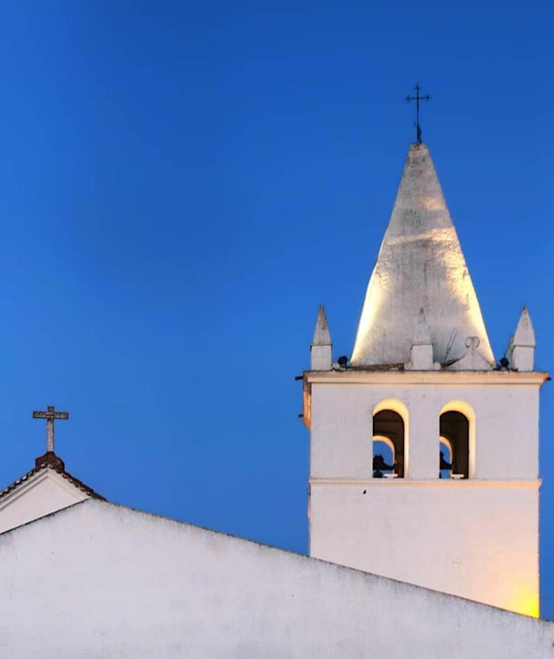 Torrão Nova Quinta Moderna Torramo Em Oliveiras, Campo De Laranjas, Na Nacional 2, Alentejo 13750 M2 빌라 외부 사진