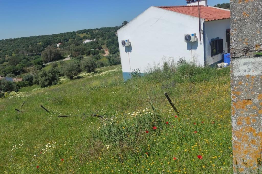 Torrão Nova Quinta Moderna Torramo Em Oliveiras, Campo De Laranjas, Na Nacional 2, Alentejo 13750 M2 빌라 외부 사진
