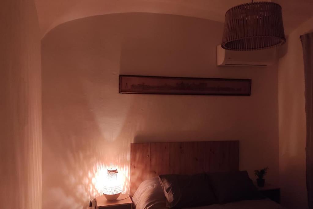 Torrão Nova Quinta Moderna Torramo Em Oliveiras, Campo De Laranjas, Na Nacional 2, Alentejo 13750 M2 빌라 외부 사진