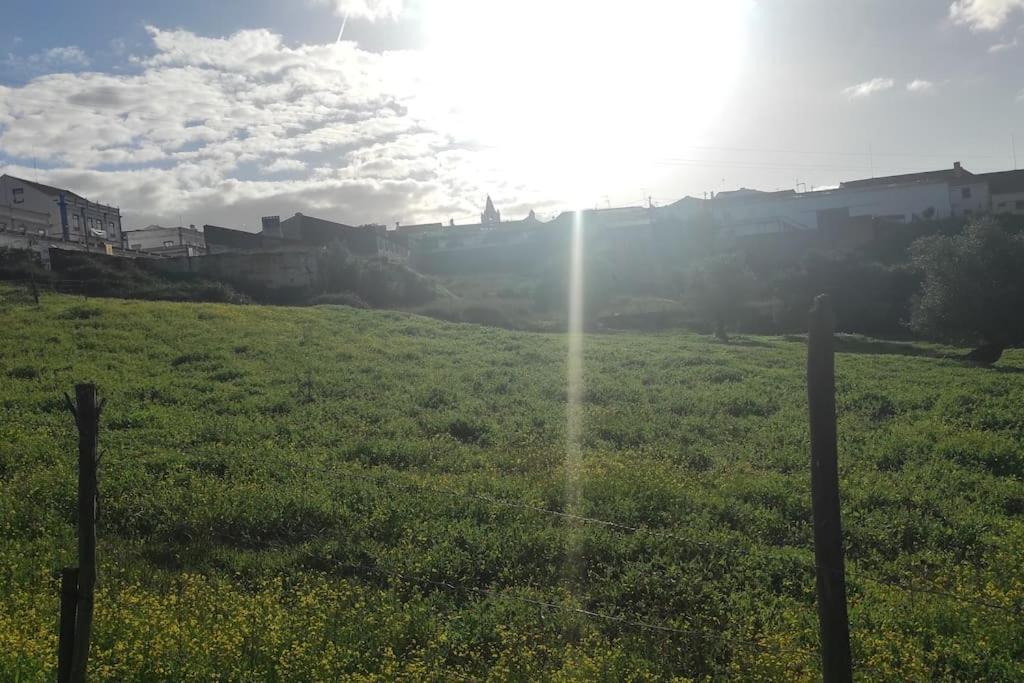 Torrão Nova Quinta Moderna Torramo Em Oliveiras, Campo De Laranjas, Na Nacional 2, Alentejo 13750 M2 빌라 외부 사진