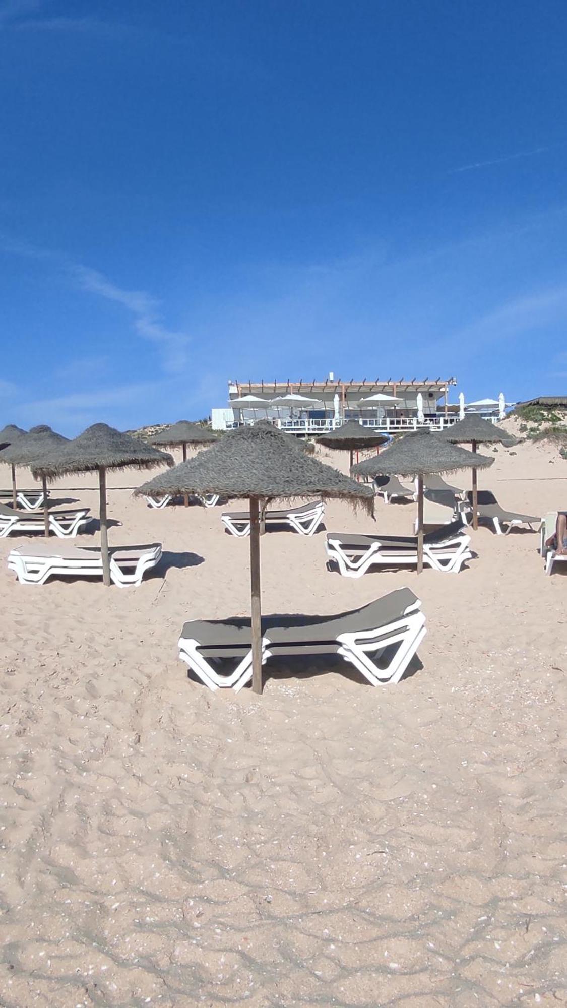 Torrão Nova Quinta Moderna Torramo Em Oliveiras, Campo De Laranjas, Na Nacional 2, Alentejo 13750 M2 빌라 외부 사진