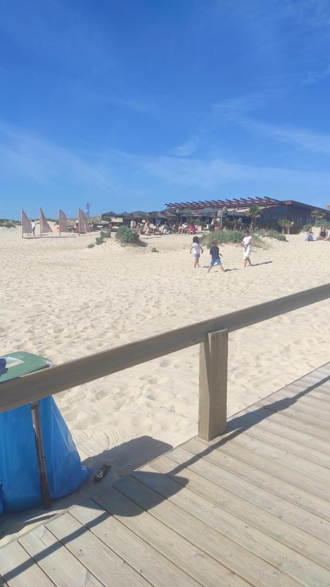 Torrão Nova Quinta Moderna Torramo Em Oliveiras, Campo De Laranjas, Na Nacional 2, Alentejo 13750 M2 빌라 객실 사진