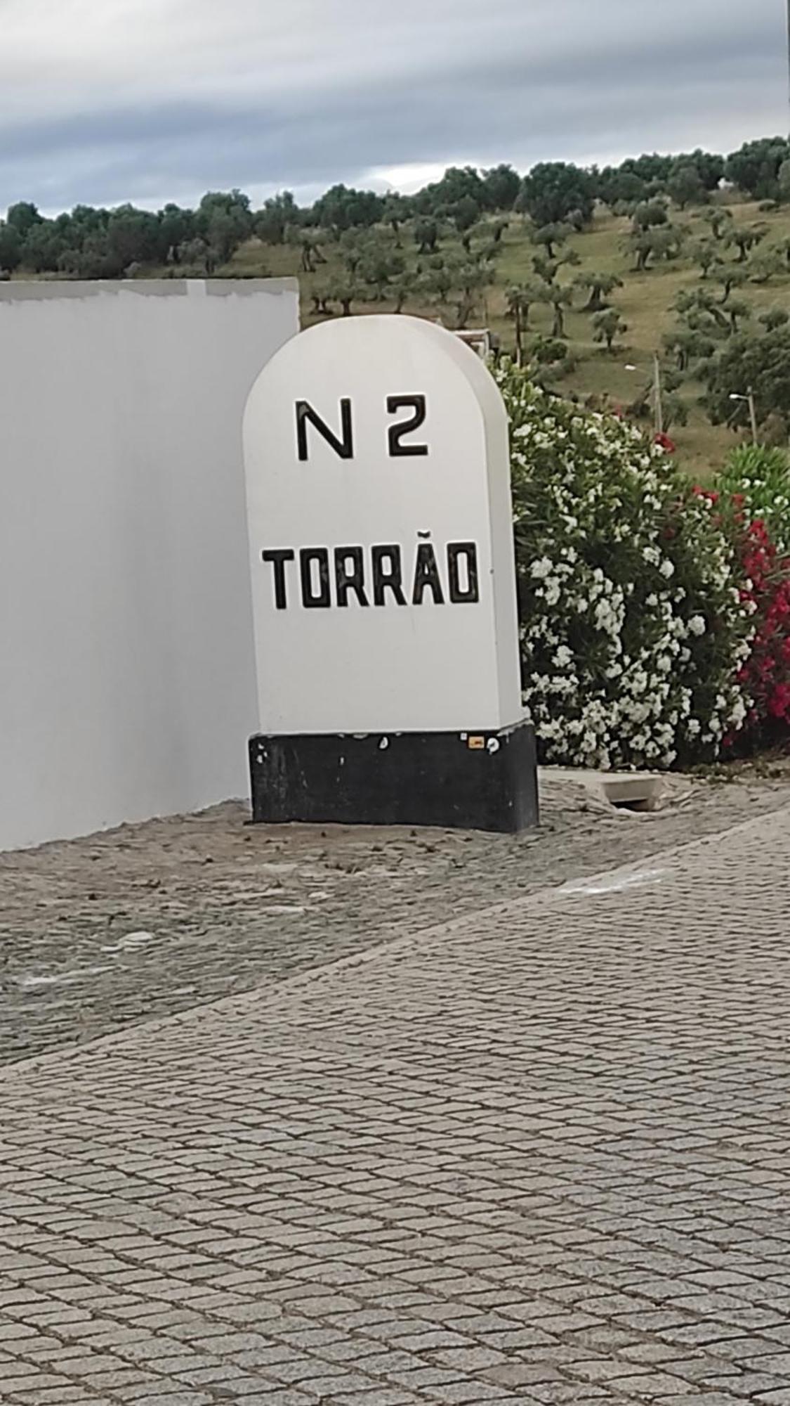 Torrão Nova Quinta Moderna Torramo Em Oliveiras, Campo De Laranjas, Na Nacional 2, Alentejo 13750 M2 빌라 외부 사진