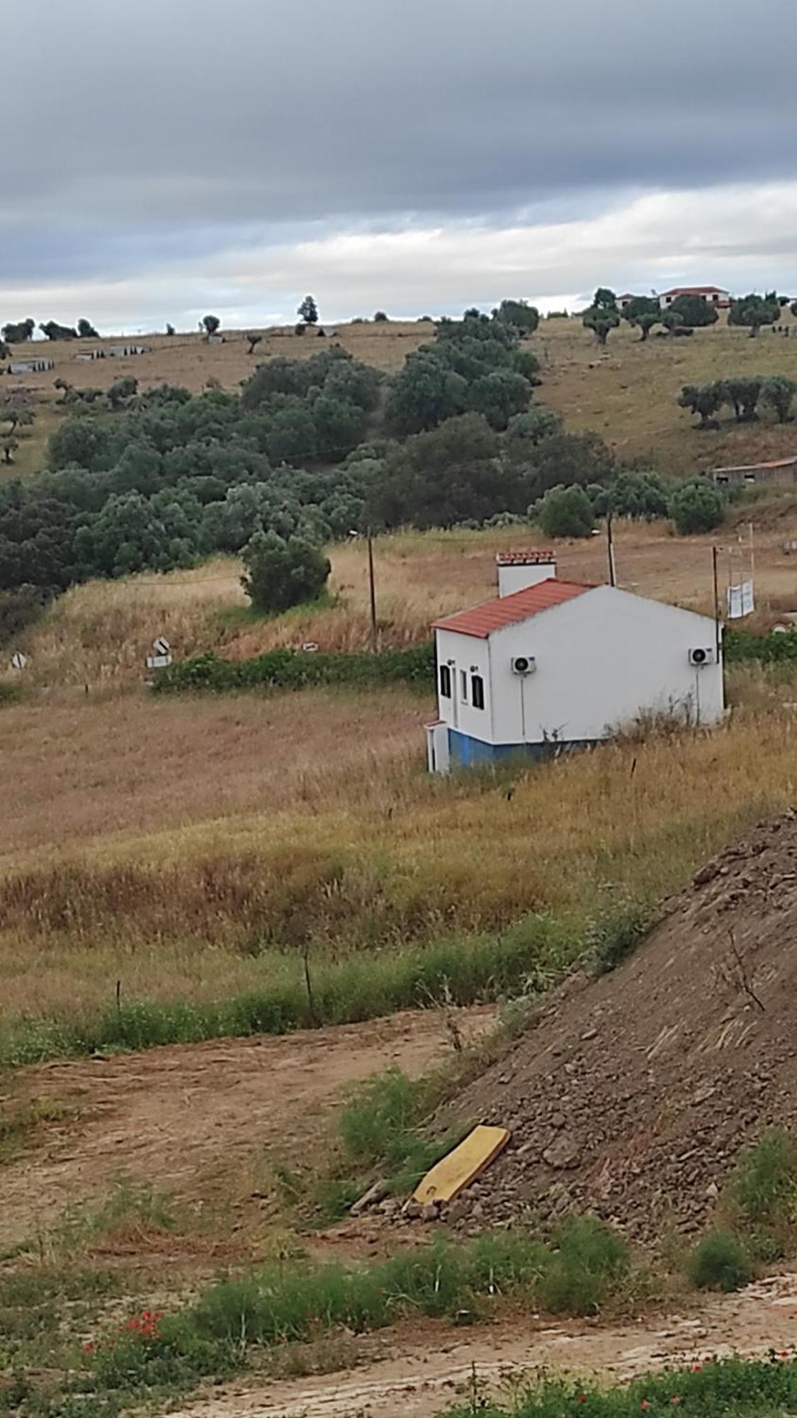 Torrão Nova Quinta Moderna Torramo Em Oliveiras, Campo De Laranjas, Na Nacional 2, Alentejo 13750 M2 빌라 외부 사진