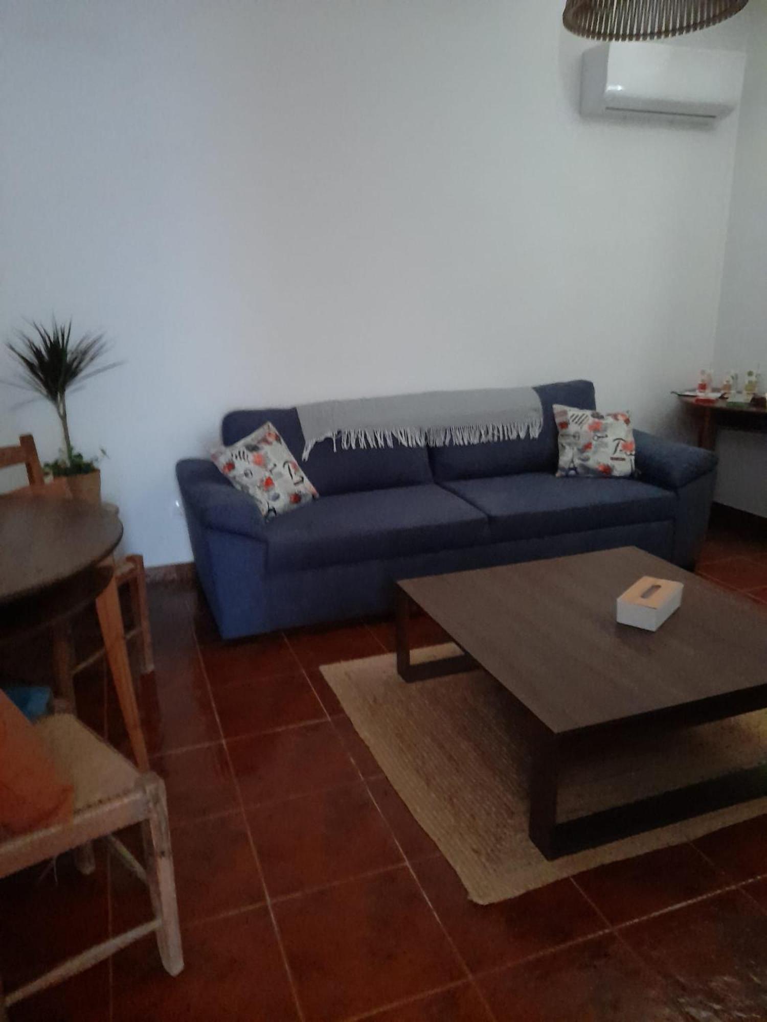 Torrão Nova Quinta Moderna Torramo Em Oliveiras, Campo De Laranjas, Na Nacional 2, Alentejo 13750 M2 빌라 외부 사진