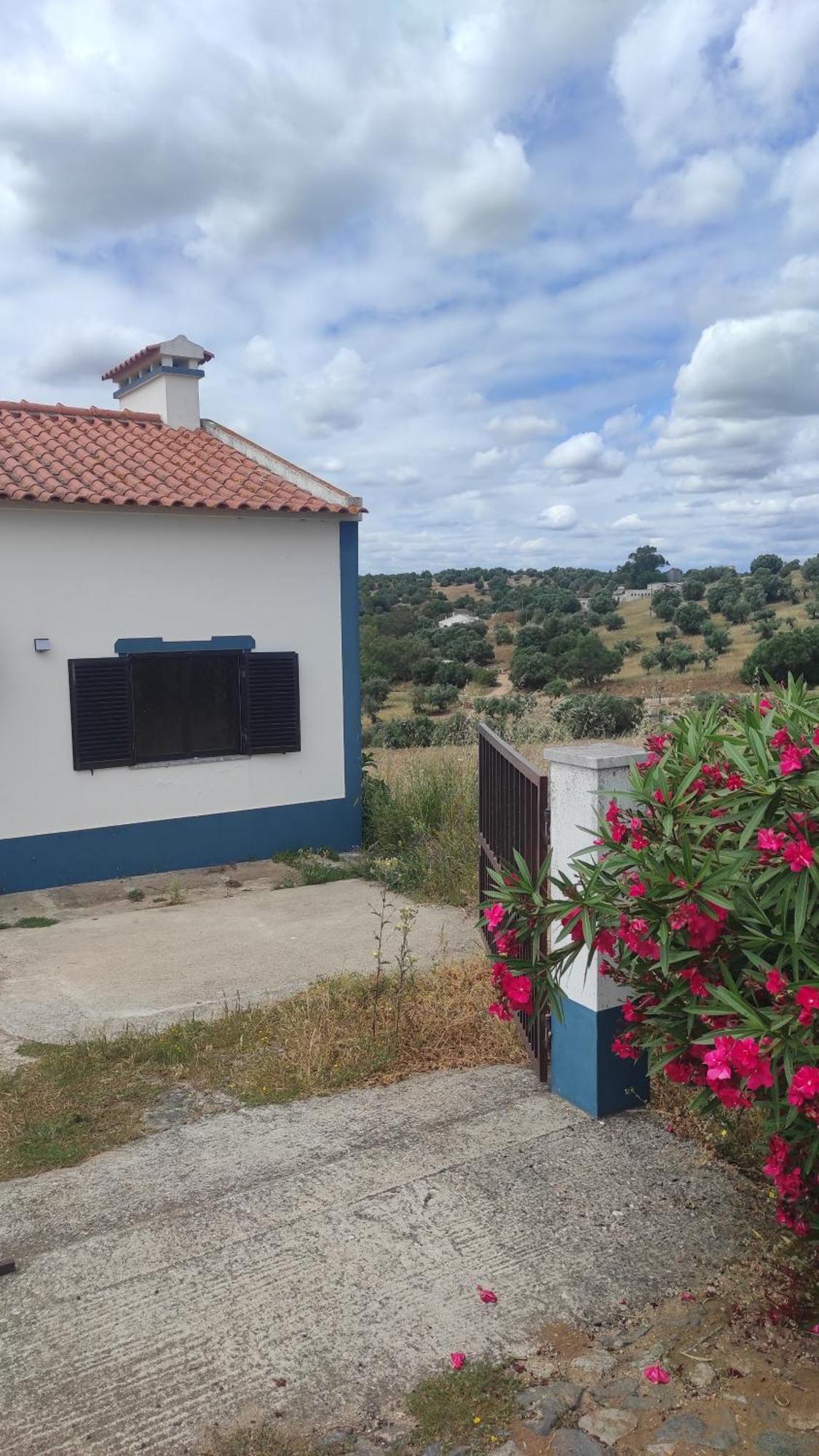 Torrão Nova Quinta Moderna Torramo Em Oliveiras, Campo De Laranjas, Na Nacional 2, Alentejo 13750 M2 빌라 외부 사진