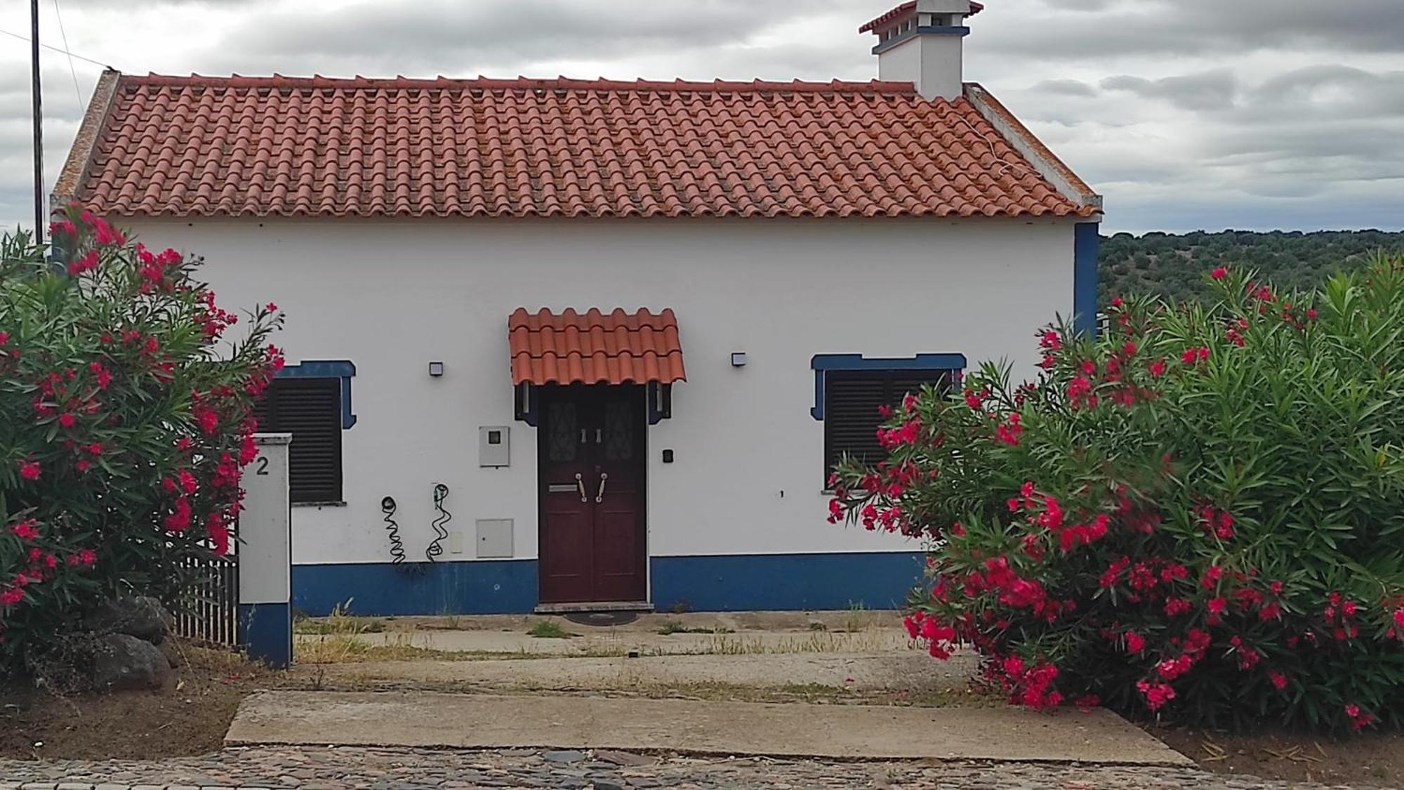 Torrão Nova Quinta Moderna Torramo Em Oliveiras, Campo De Laranjas, Na Nacional 2, Alentejo 13750 M2 빌라 외부 사진