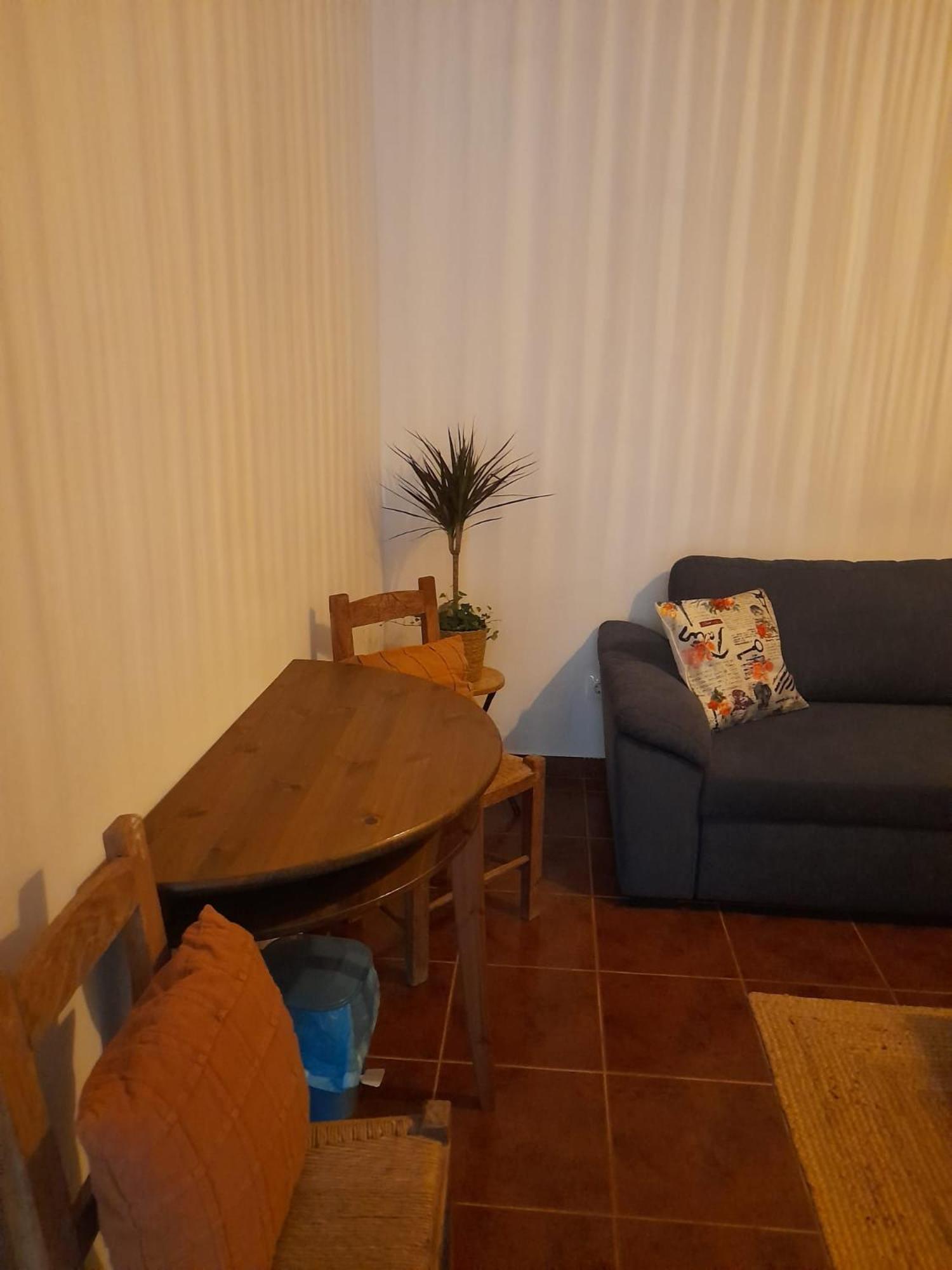 Torrão Nova Quinta Moderna Torramo Em Oliveiras, Campo De Laranjas, Na Nacional 2, Alentejo 13750 M2 빌라 외부 사진