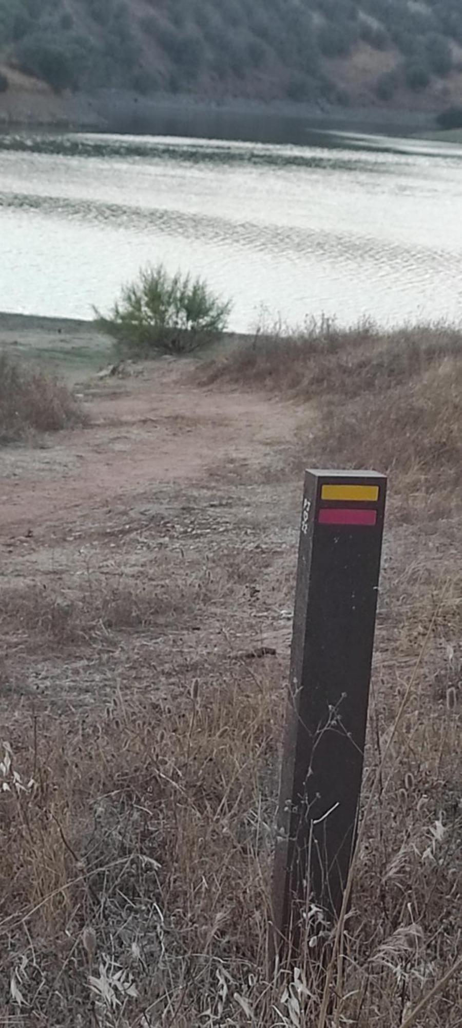 Torrão Nova Quinta Moderna Torramo Em Oliveiras, Campo De Laranjas, Na Nacional 2, Alentejo 13750 M2 빌라 외부 사진