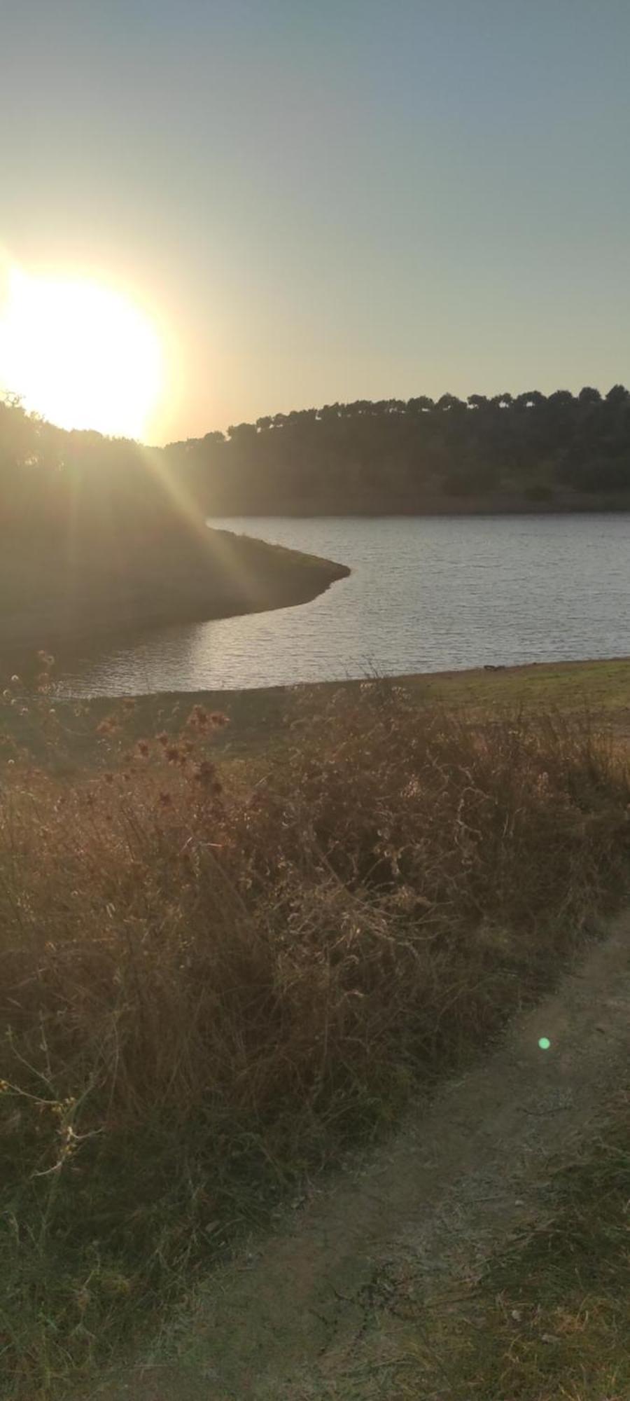 Torrão Nova Quinta Moderna Torramo Em Oliveiras, Campo De Laranjas, Na Nacional 2, Alentejo 13750 M2 빌라 외부 사진