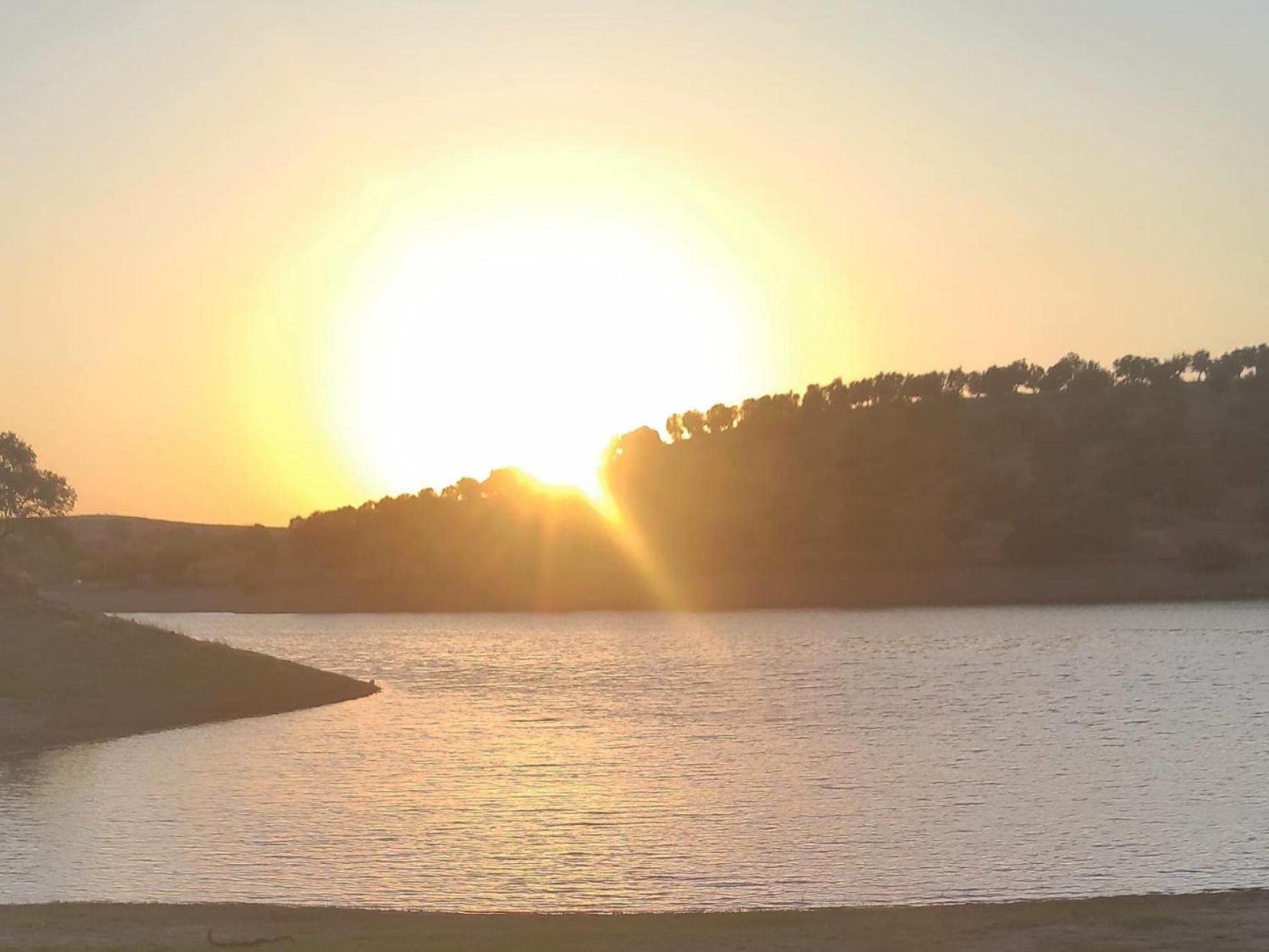 Torrão Nova Quinta Moderna Torramo Em Oliveiras, Campo De Laranjas, Na Nacional 2, Alentejo 13750 M2 빌라 외부 사진