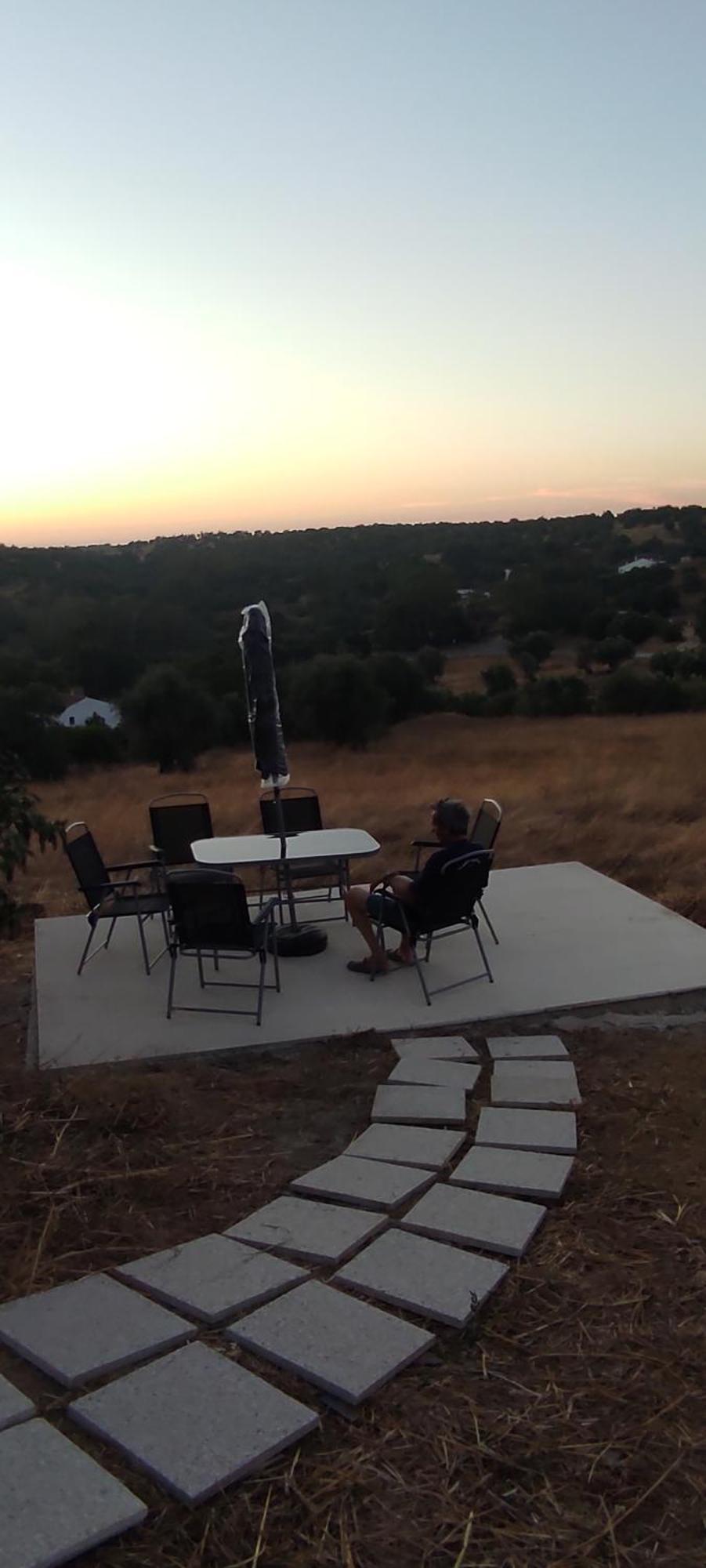 Torrão Nova Quinta Moderna Torramo Em Oliveiras, Campo De Laranjas, Na Nacional 2, Alentejo 13750 M2 빌라 외부 사진