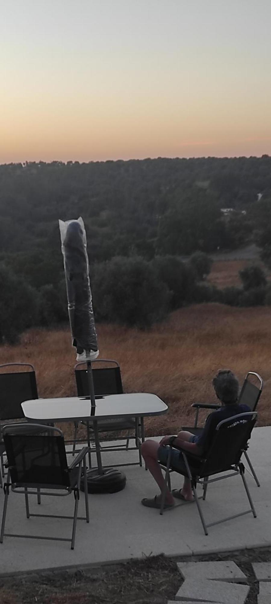 Torrão Nova Quinta Moderna Torramo Em Oliveiras, Campo De Laranjas, Na Nacional 2, Alentejo 13750 M2 빌라 외부 사진