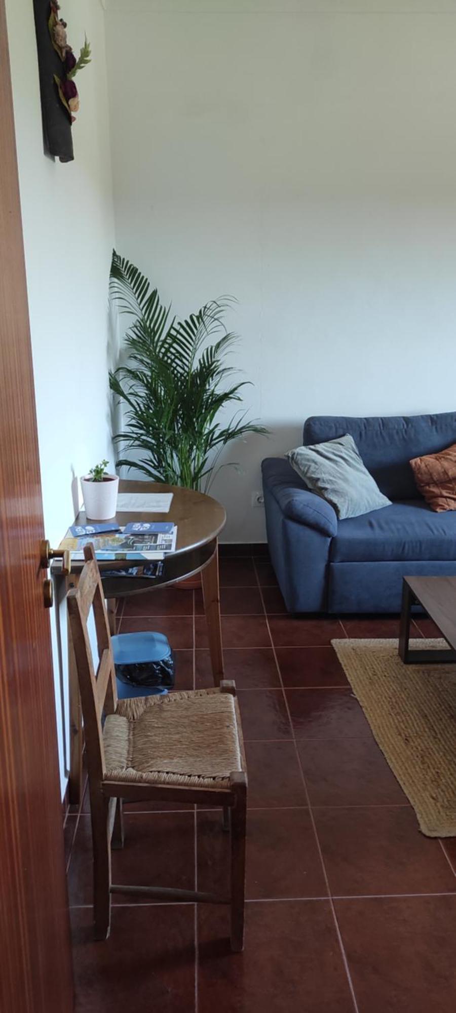 Torrão Nova Quinta Moderna Torramo Em Oliveiras, Campo De Laranjas, Na Nacional 2, Alentejo 13750 M2 빌라 외부 사진