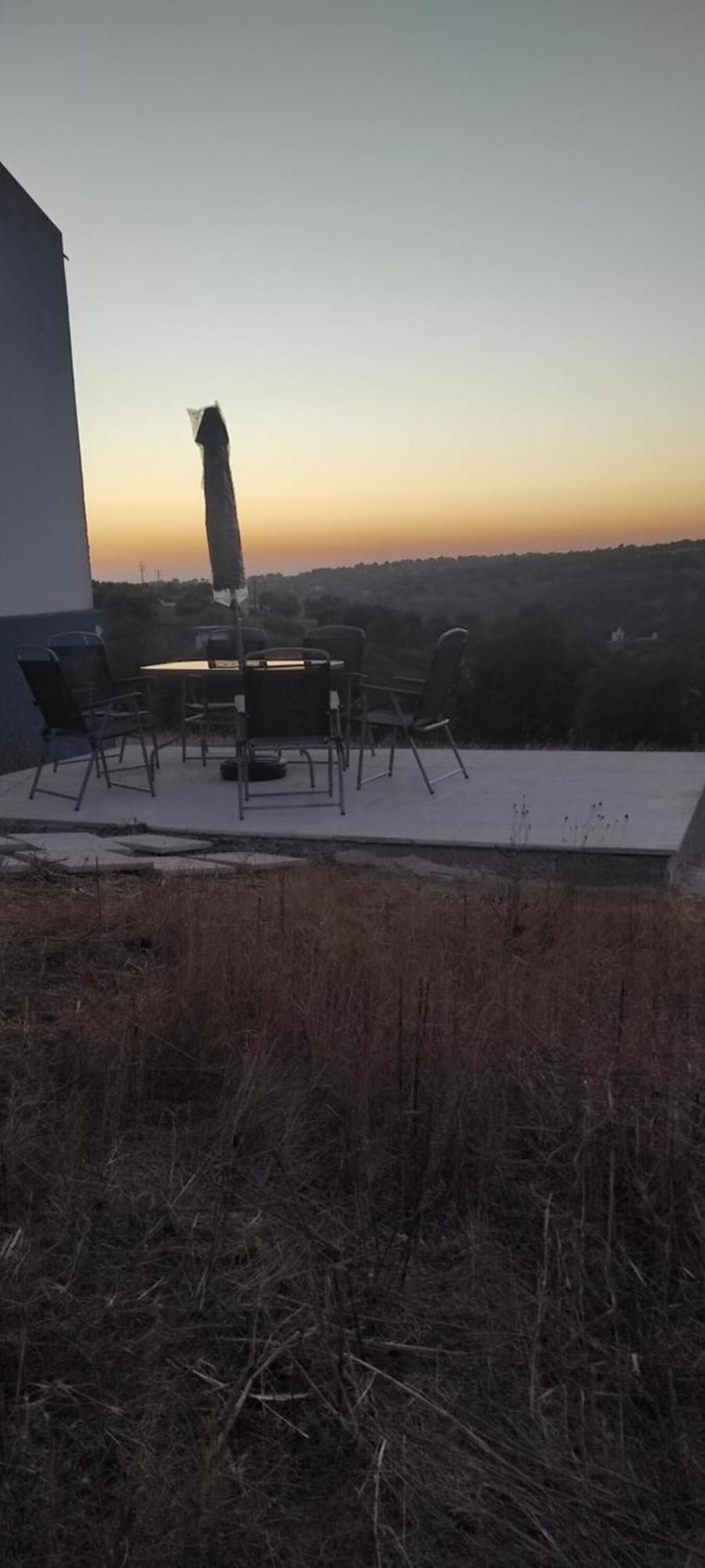 Torrão Nova Quinta Moderna Torramo Em Oliveiras, Campo De Laranjas, Na Nacional 2, Alentejo 13750 M2 빌라 외부 사진