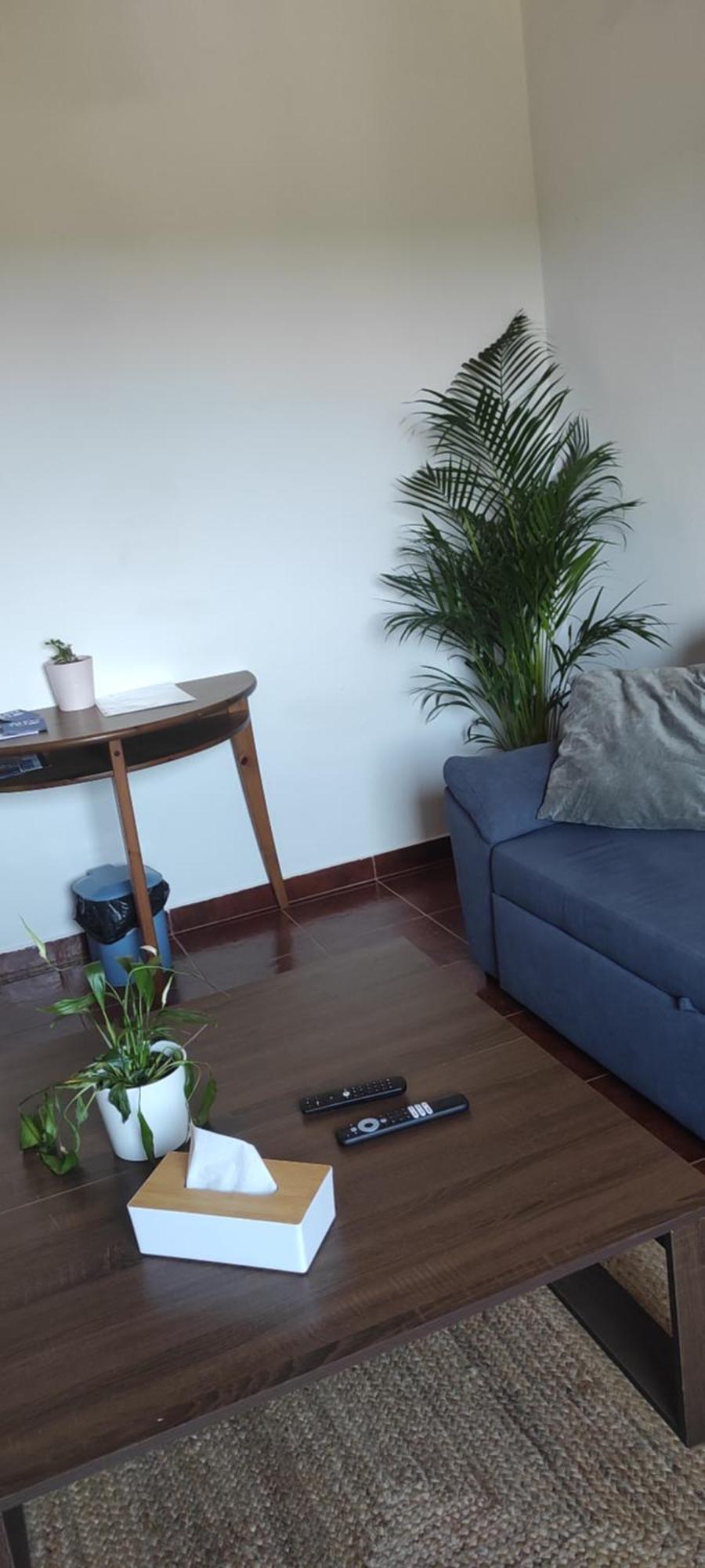 Torrão Nova Quinta Moderna Torramo Em Oliveiras, Campo De Laranjas, Na Nacional 2, Alentejo 13750 M2 빌라 외부 사진