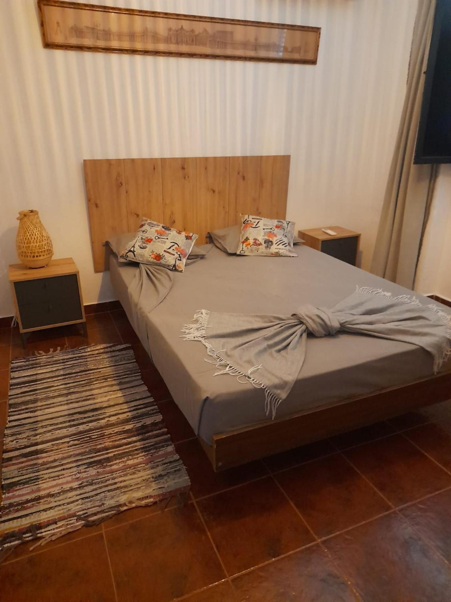 Torrão Nova Quinta Moderna Torramo Em Oliveiras, Campo De Laranjas, Na Nacional 2, Alentejo 13750 M2 빌라 외부 사진